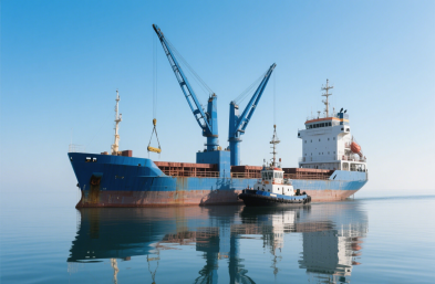 國際物流貨運：農(nóng)產(chǎn)品進口的定制化專家